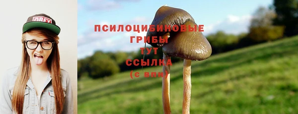 mix Аркадак