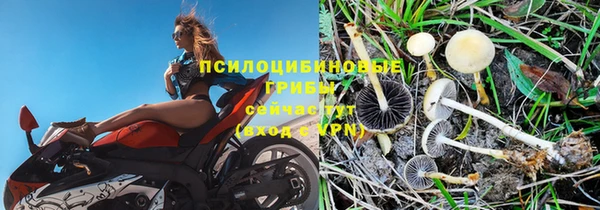 прущие крисы Балахна