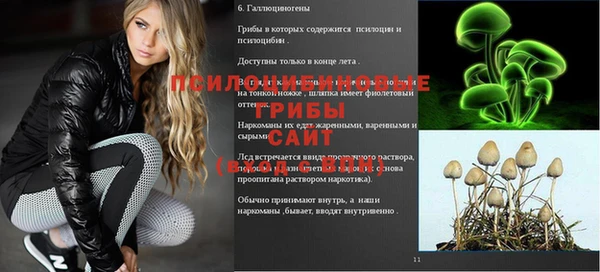 MDMA Premium VHQ Армянск